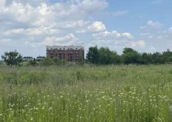 Аукціон Струмівка ділянка