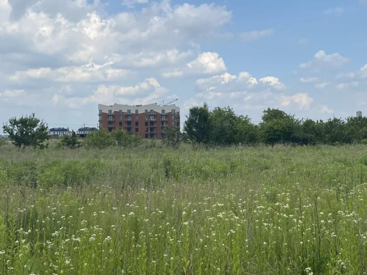 Аукціон Струмівка ділянка