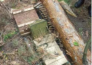 Зброя у лісі, ілюстративне