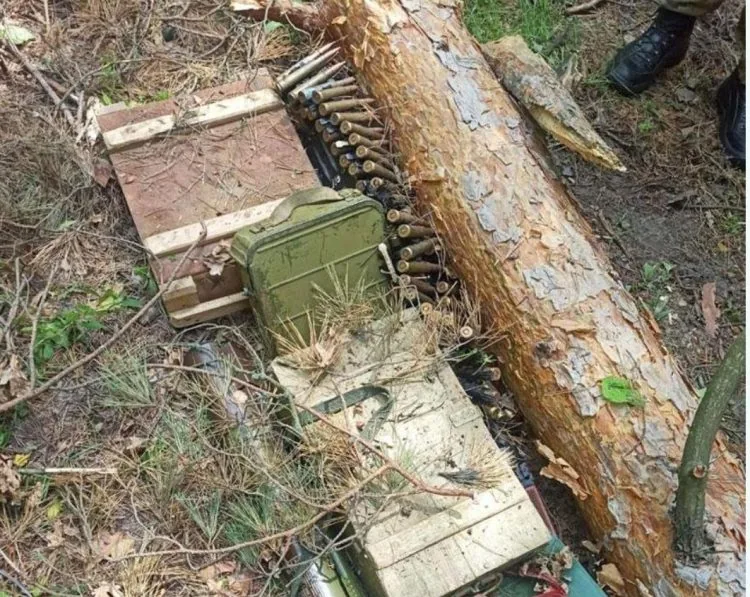 Зброя у лісі, ілюстративне