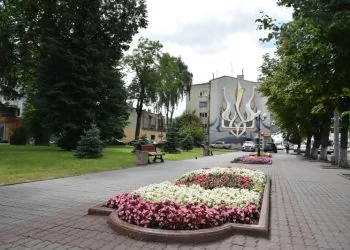Квіти, клумба, квітник, Луцьк