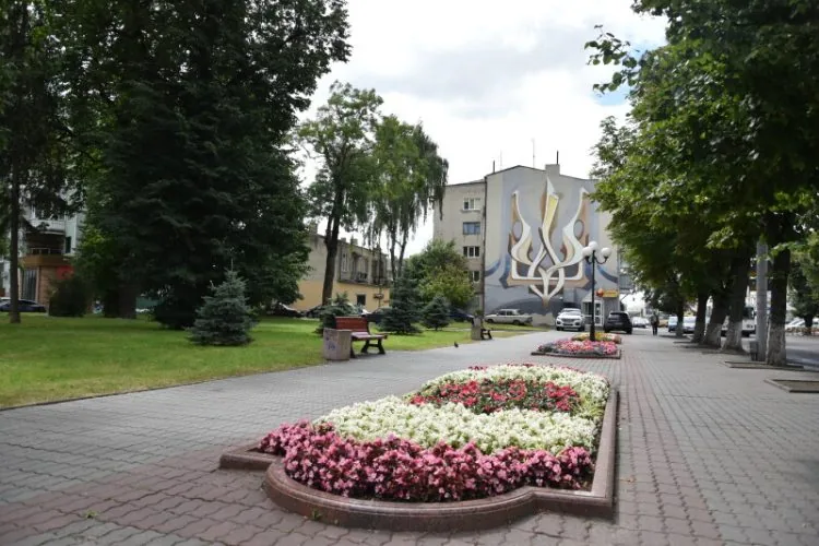 Квіти, клумба, квітник, Луцьк