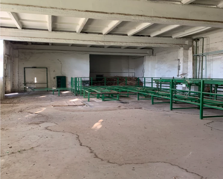 Пилорама у Ківерцях, продана на аукціоні