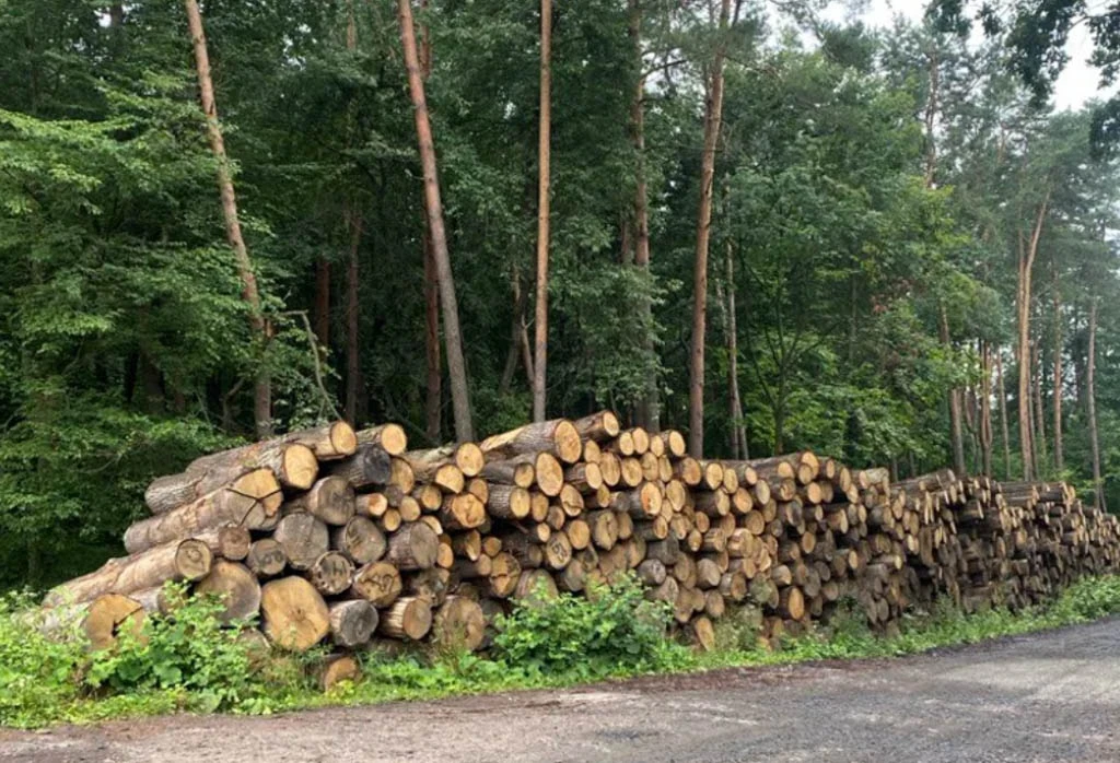 АРМА_Арештована деревина в Губині