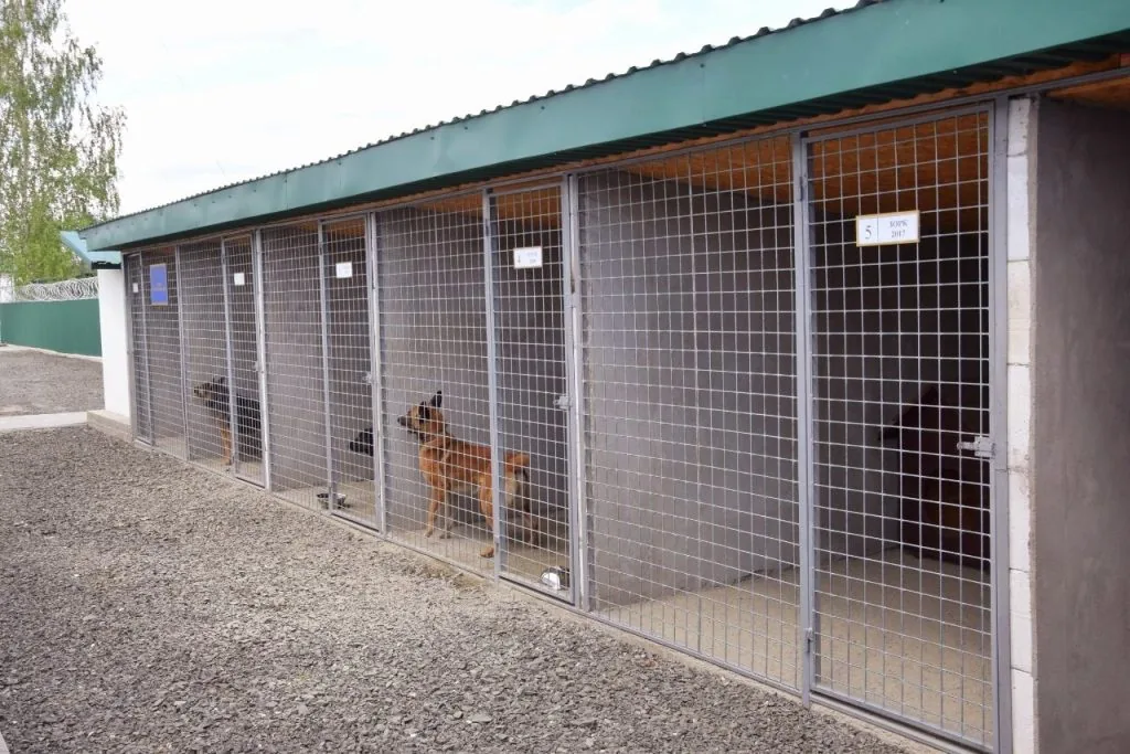 Модернізація комунікацій, будівель і території 6 Волинського прикордонного загону на північному кордоні.