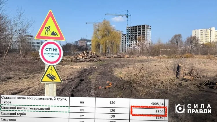 Реконструкція лугопарку на Набережній. Колаж ЦЖР «Сила правди»