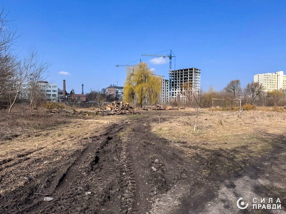 Роботи в лугопарку на Набережній