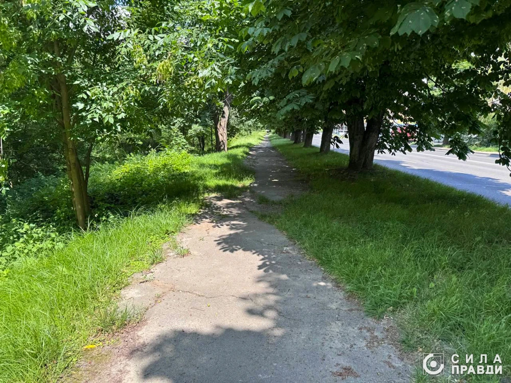 Стан вулиці Набережної поблизу майбутнього лугопарку