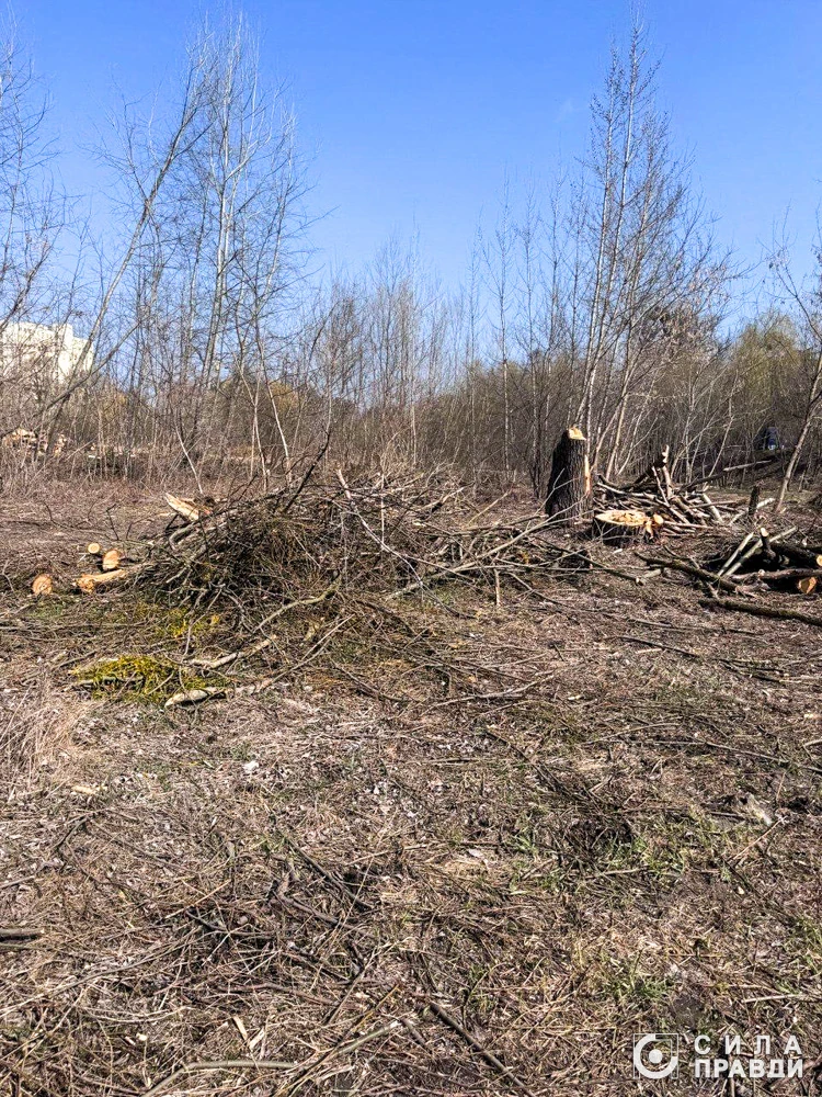 Роботи в лугопарку на Набережній