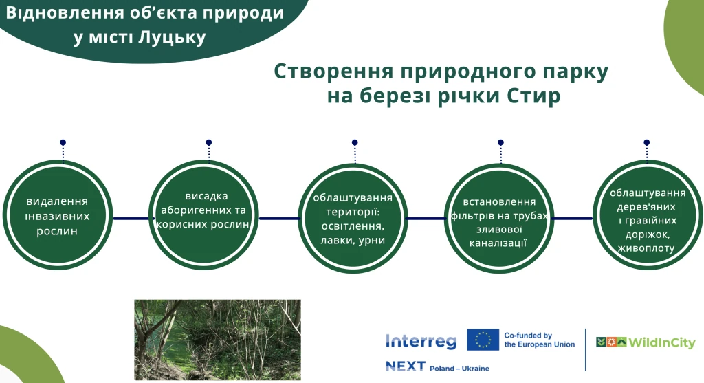 Презентація проєкту. Джерело: www.lutskrada.gov.ua