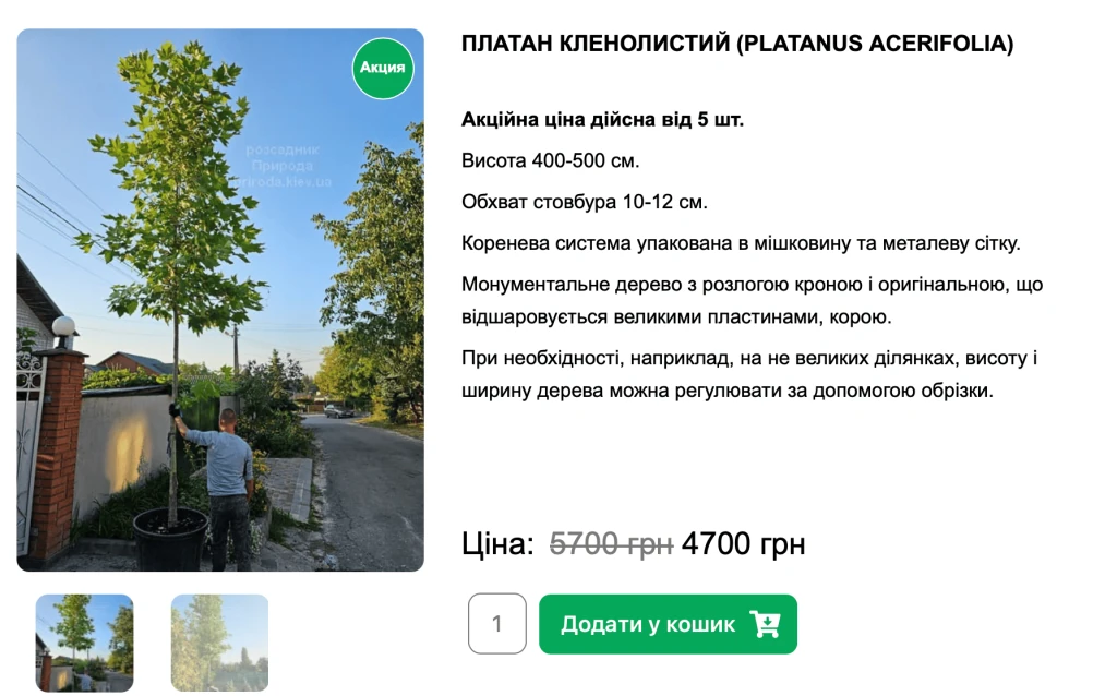 Ціна на платан кленолистий у одному з київських розсадників. Джерело: www.priroda.kiev.ua