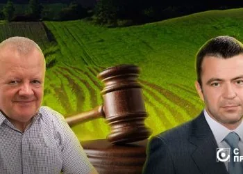 Валерій Діброва, Сергій Мартиняк, аукціони