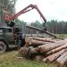 Волинський військовий лісгосп, заготівля деревини