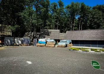 Звірівське лісництвоДепартамент внутрішньої та економічної безпеки ДП «Ліси України» провів рейд лісництвами Волині та виявив факти незаконної забудови.