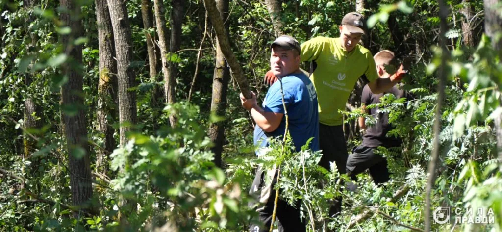 Лісоруби в нацпарку Цуманська пуща