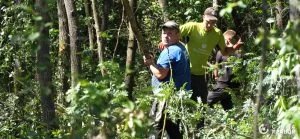 Лісоруби в нацпарку Цуманська пуща
