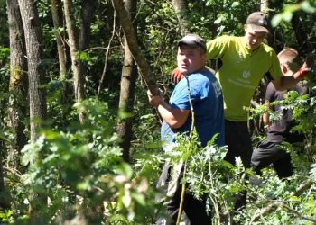 Лісоруби в нацпарку Цуманська пуща