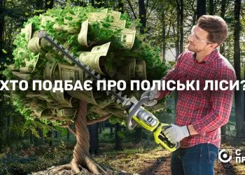 Поліський лісовий офіс гол фото