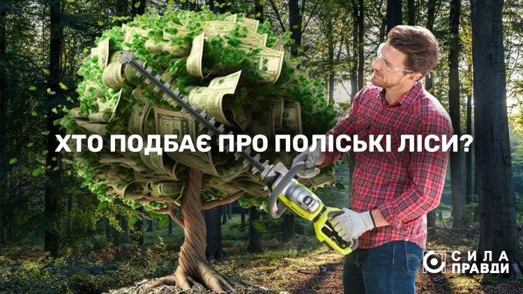 Поліський лісовий офіс гол фото