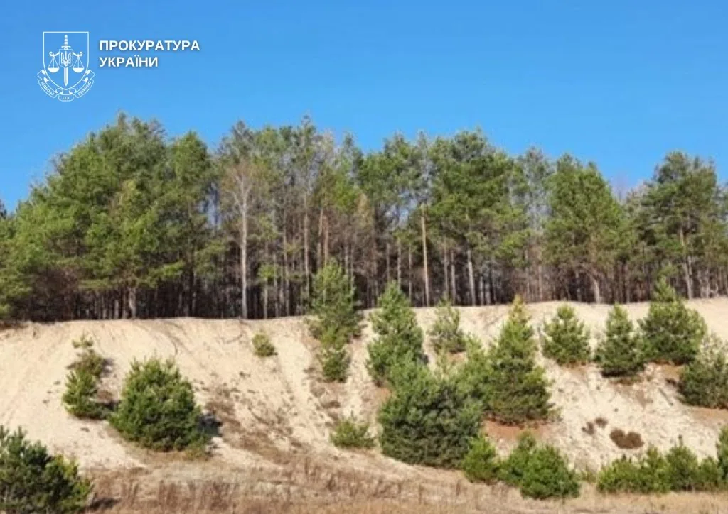 Верховний суд постановив, що розробляти пісок на території Старо-Вижівського родовища незаконно.