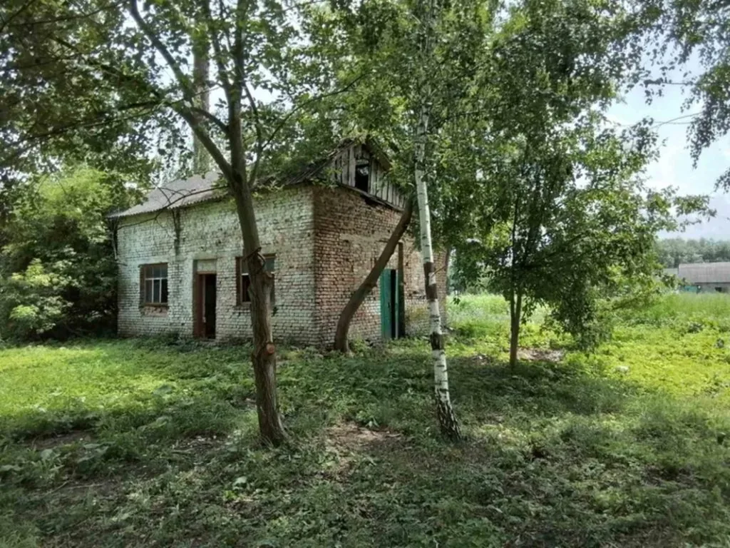 Берестечківська міська рада наприкінці 2024 року вирішила продати комунальне майно у селі Липа, зокрема колишню школу. Суд наклав арешт