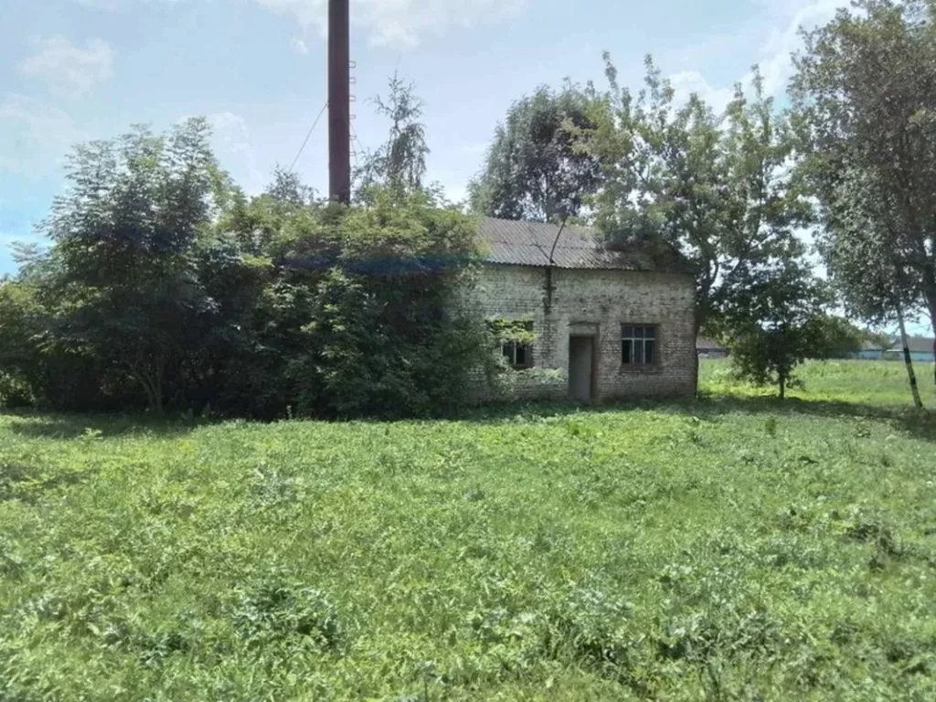 Берестечківська міська рада наприкінці 2024 року вирішила продати комунальне майно у селі Липа, зокрема колишню школу. Суд наклав арешт