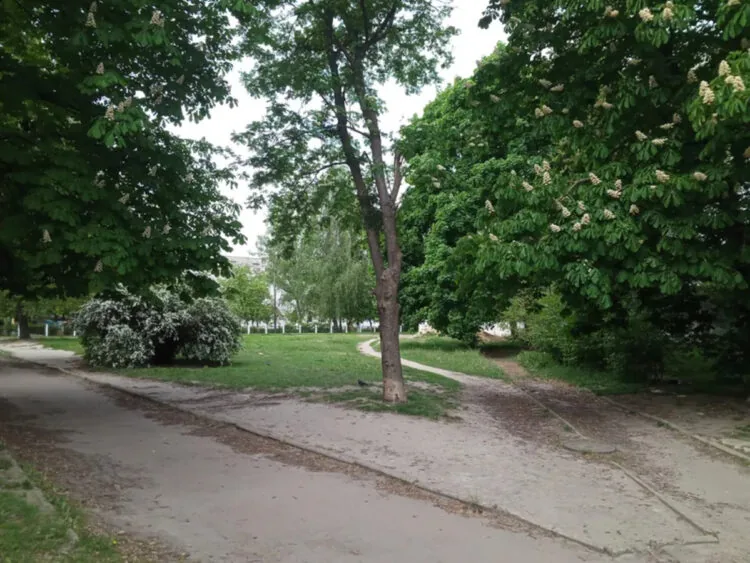 Ділянку на вул. Ветеранів у Луцьку продали з аукціону за 16 млн