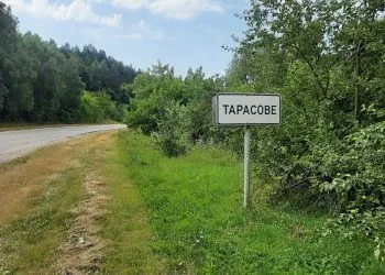 Землі під Луцьком