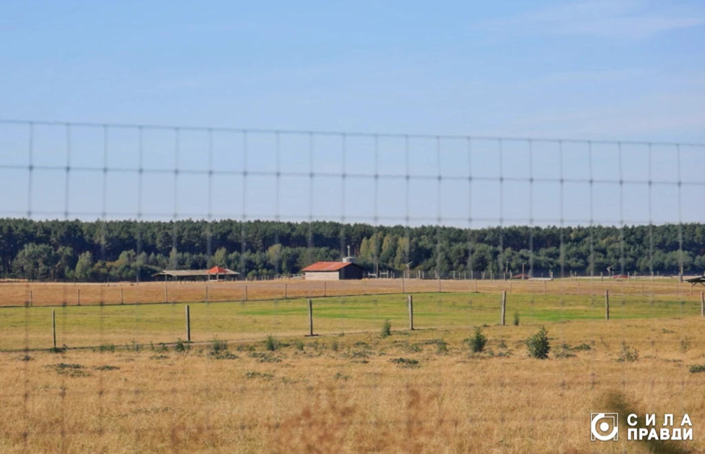 Оленяча ферма Аміла