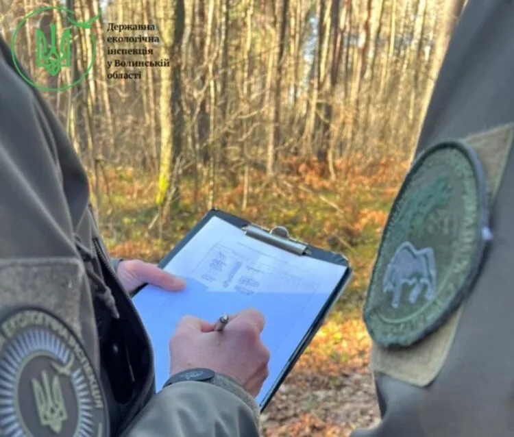 Інспектори Державної екологічної інспекції у Волинській області разом із фахівцями Ківерцівський національний природний парк "Цуманська пуща" зафіксовано факт незаконної рубки у кварталі 1, поблизу села Омельне Луцького району