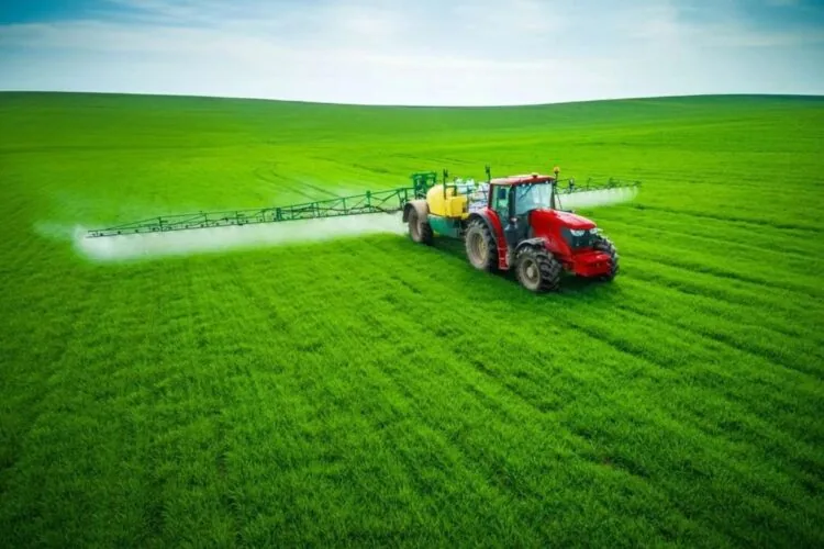 поле, гербіциди