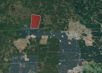 200 га орендованої землі зі ставками біля Черевахи Маневвицької громади