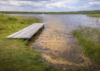 Озеро Біле (Дубечненська громада). Мисливські угіддя