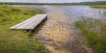 Озеро Біле (Дубечненська громада). Мисливські угіддя