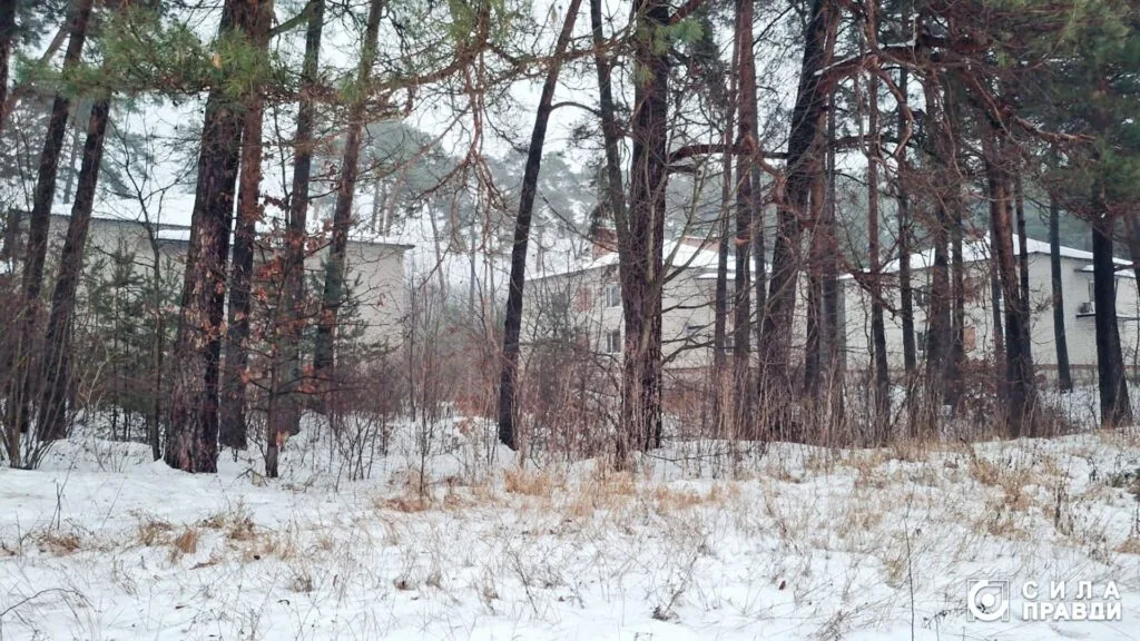 Розгорівся скандал із землею у Дачному під Луцьком, яку орендує фірма сім'ї Палиць ТОВ "Біла акація"
