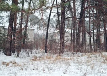 Розгорівся скандал із землею у Дачному під Луцьком, яку орендує фірма сім'ї Палиць ТОВ "Біла акація"