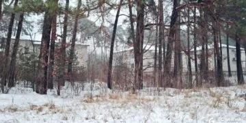 Розгорівся скандал із землею у Дачному під Луцьком, яку орендує фірма сім'ї Палиць ТОВ "Біла акація"