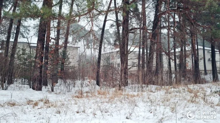 Розгорівся скандал із землею у Дачному під Луцьком, яку орендує фірма сім'ї Палиць ТОВ "Біла акація"