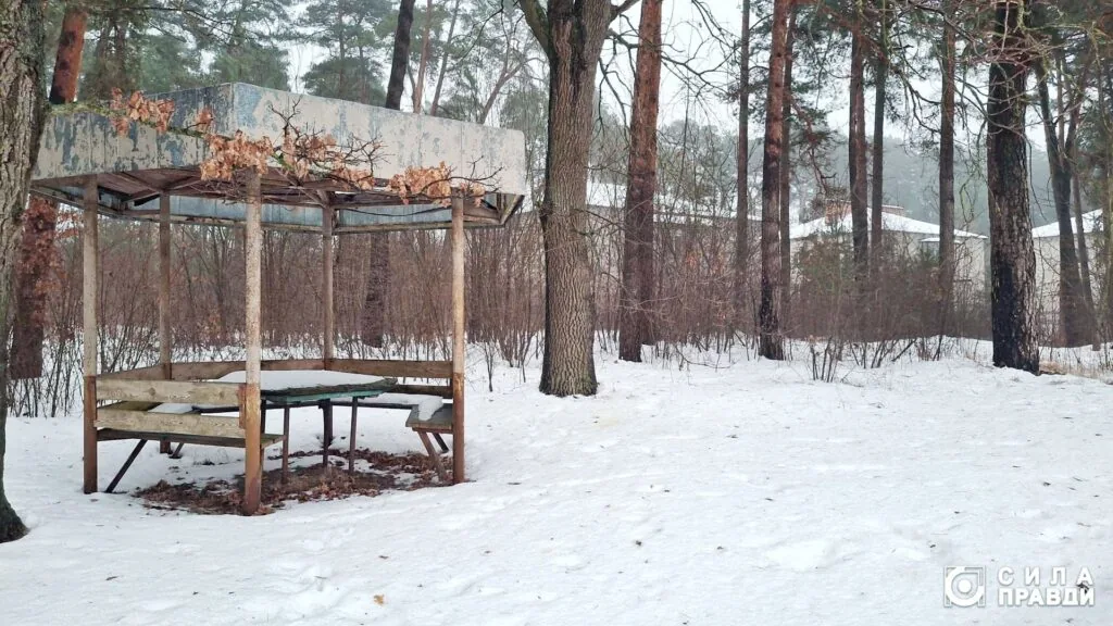 Розгорівся скандал із землею у Дачному під Луцьком, яку орендує фірма сім'ї Палиць ТОВ "Біла акація"