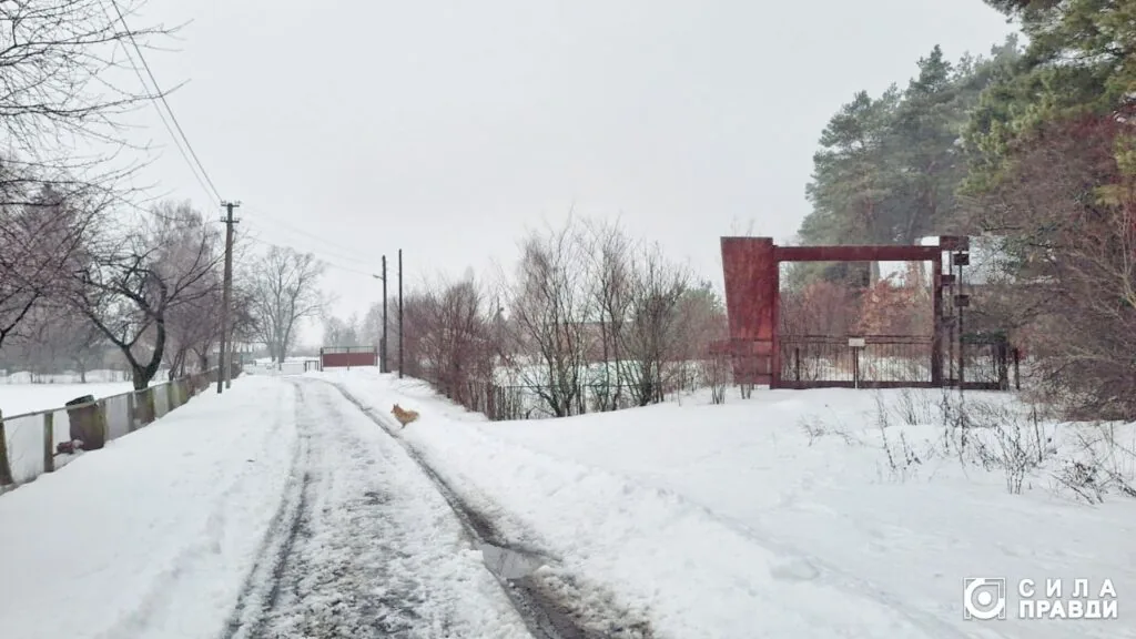 Розгорівся скандал із землею у Дачному під Луцьком, яку орендує фірма сім'ї Палиць ТОВ "Біла акація"