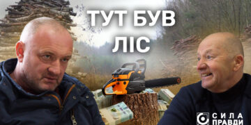 Головне фото Вирубка в Озютичах