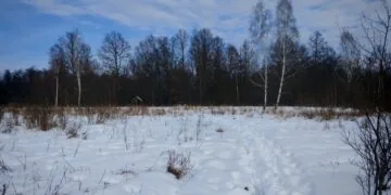 Волинські прокурори наполягають на поверненні державі земель НПП «Цуманська пуща». Мова про 29 га