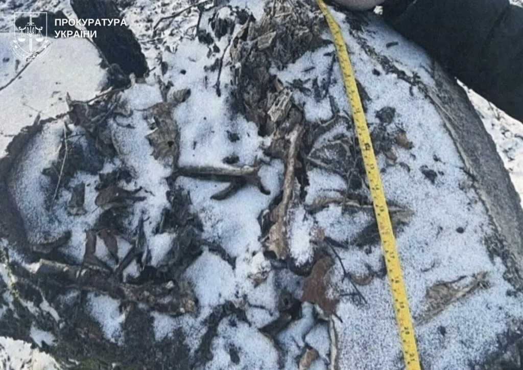 Прокурори Спеціалізованої екологічної прокуратури Волинської обласної прокуратури повідомили колишньому майстру лісу Цуманського лісництва філії «Ківерцівське лісове господарство» ДСГП «Ліси України» про підозру у службовій недбалості. Мова про 5 млн грн збитків.