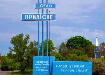 Прилісне Камінь-Каширського району