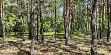 Ділянка в Шацьку, яку придбав ексчиновник ДСНС Билиця