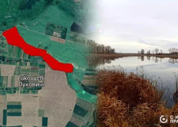 Павлівські ставки біля села Луковичі, оренда, аукціон