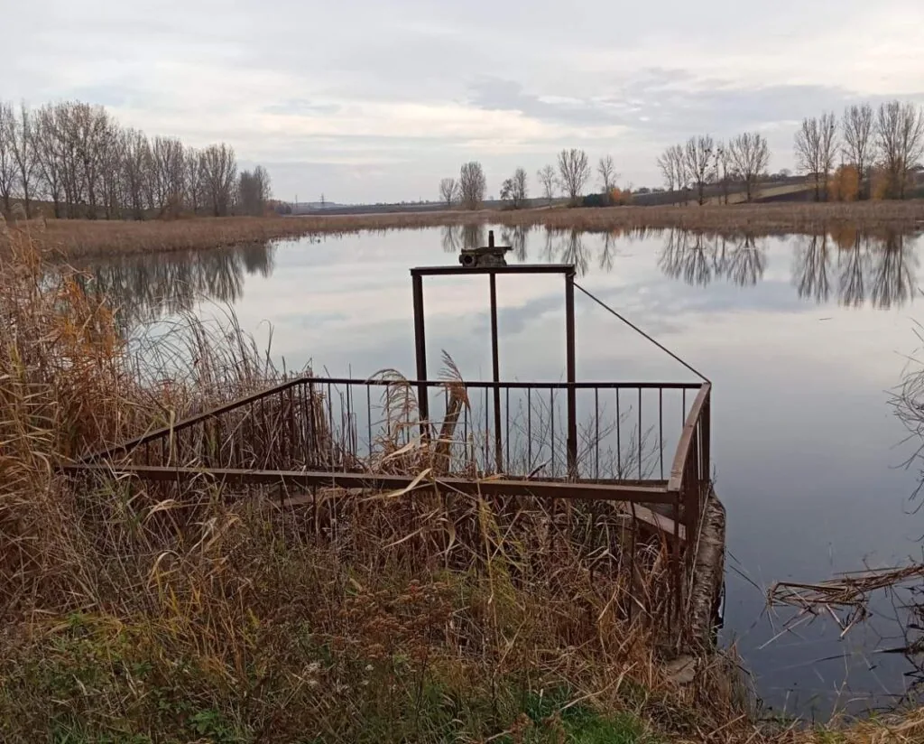 Павлівські ставки біля села Луковичі, оренда, аукціон