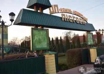 ДП "Камінь-Каширський лісгосп"