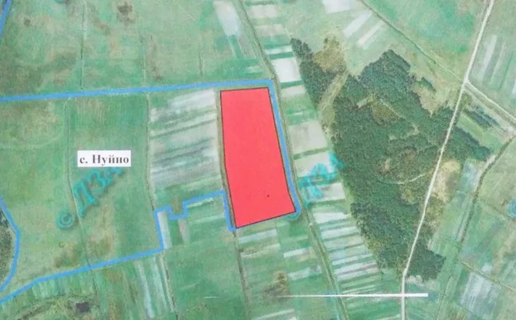 Як діти депутатів розіграли земельні аукціони у громаді на Волині