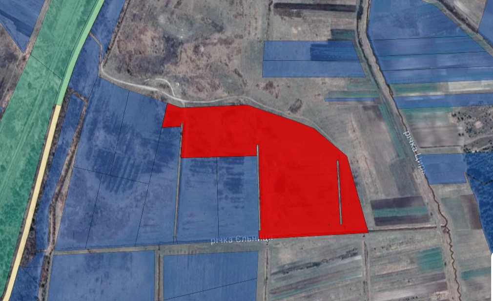 Як діти депутатів розіграли земельні аукціони у громаді на Волині